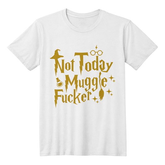 Not Now, Muggle F*cker